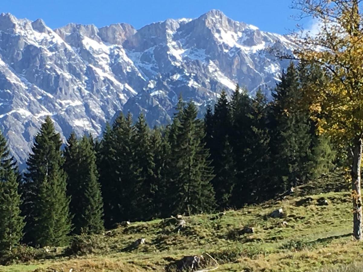 Auhaeuslalm Βίλα Maria Alm am Steinernen Meer Εξωτερικό φωτογραφία
